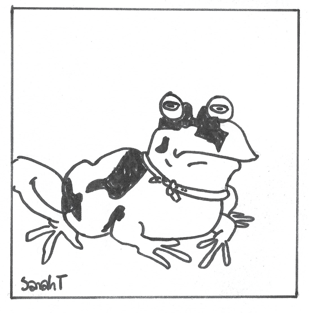 toad2