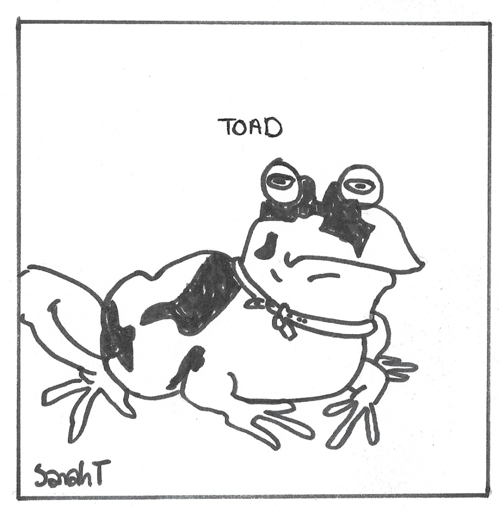 toad3